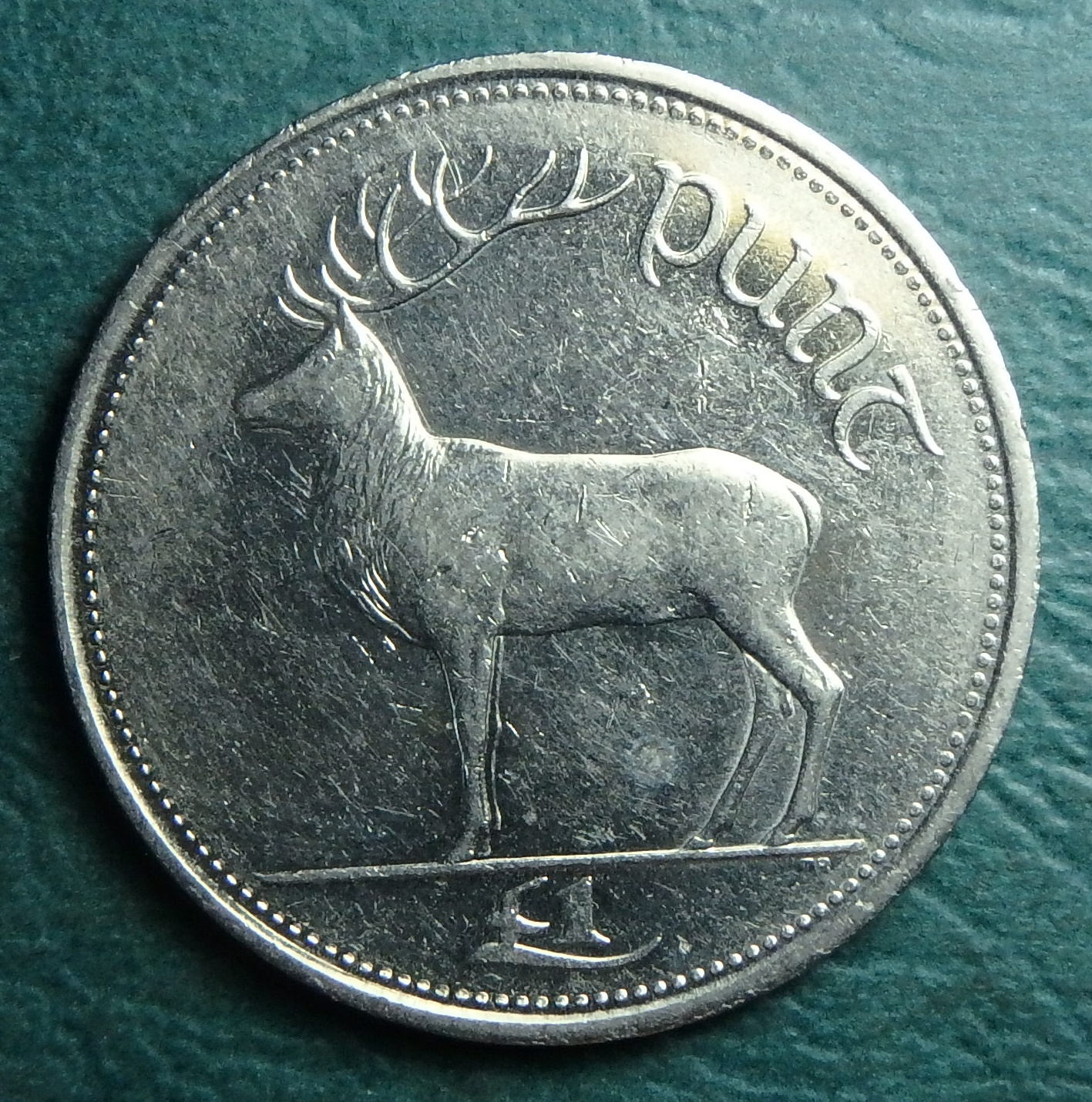 1999 IE 1 p rev.JPG