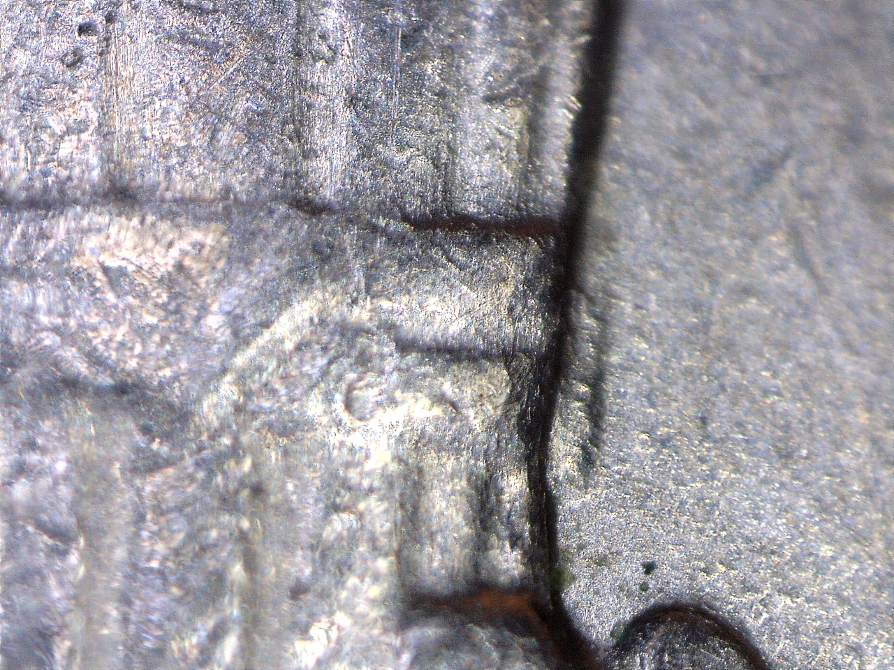 1999 P DDR (5).jpg