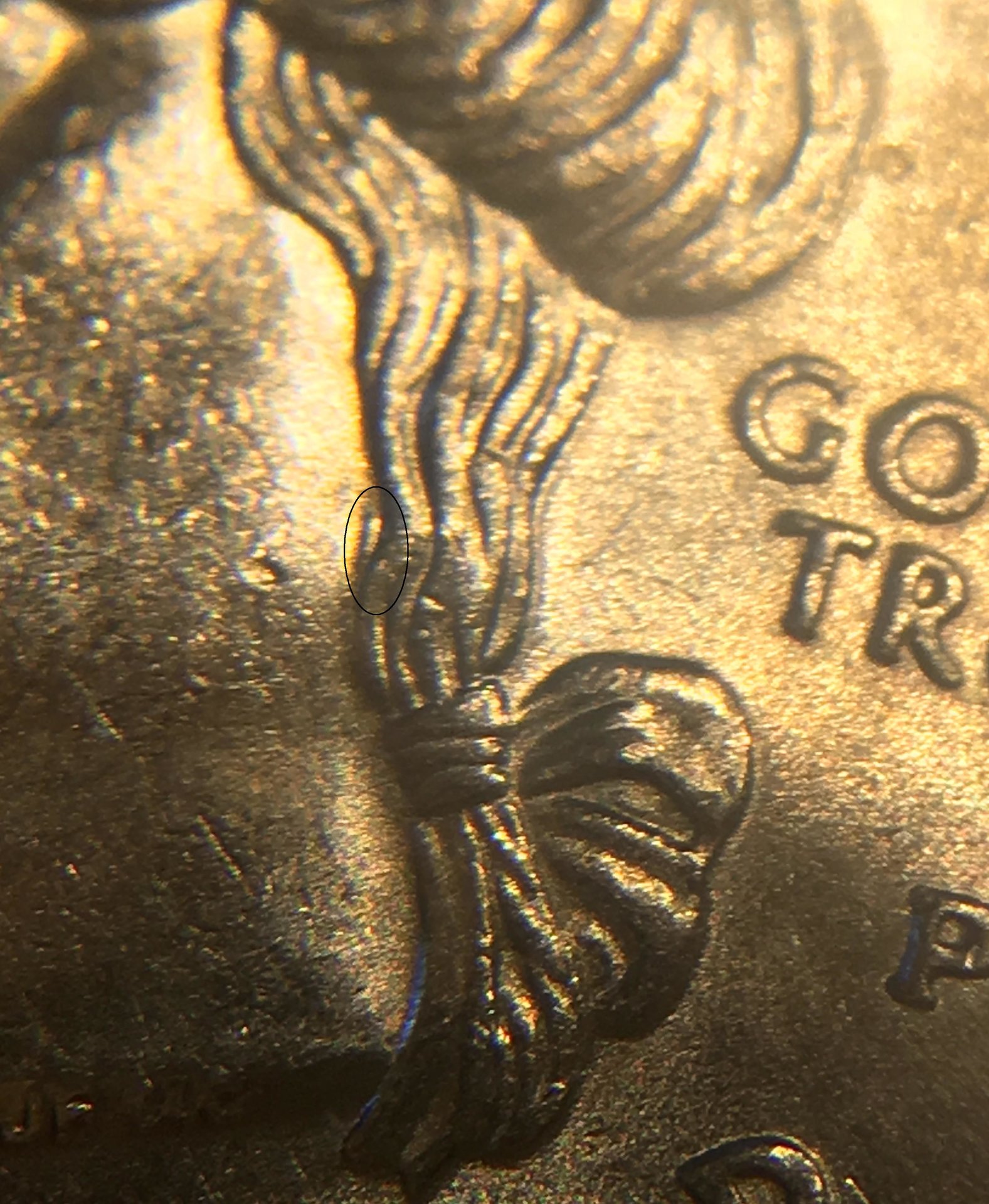 1999 P NJ DDO.JPG
