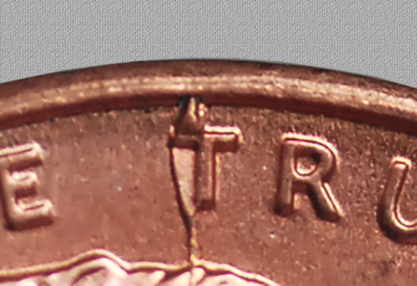 1999crop5.jpg