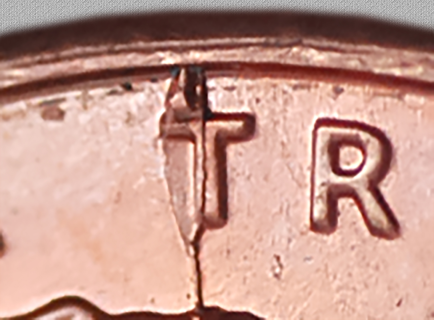 1999pcrop2.jpg