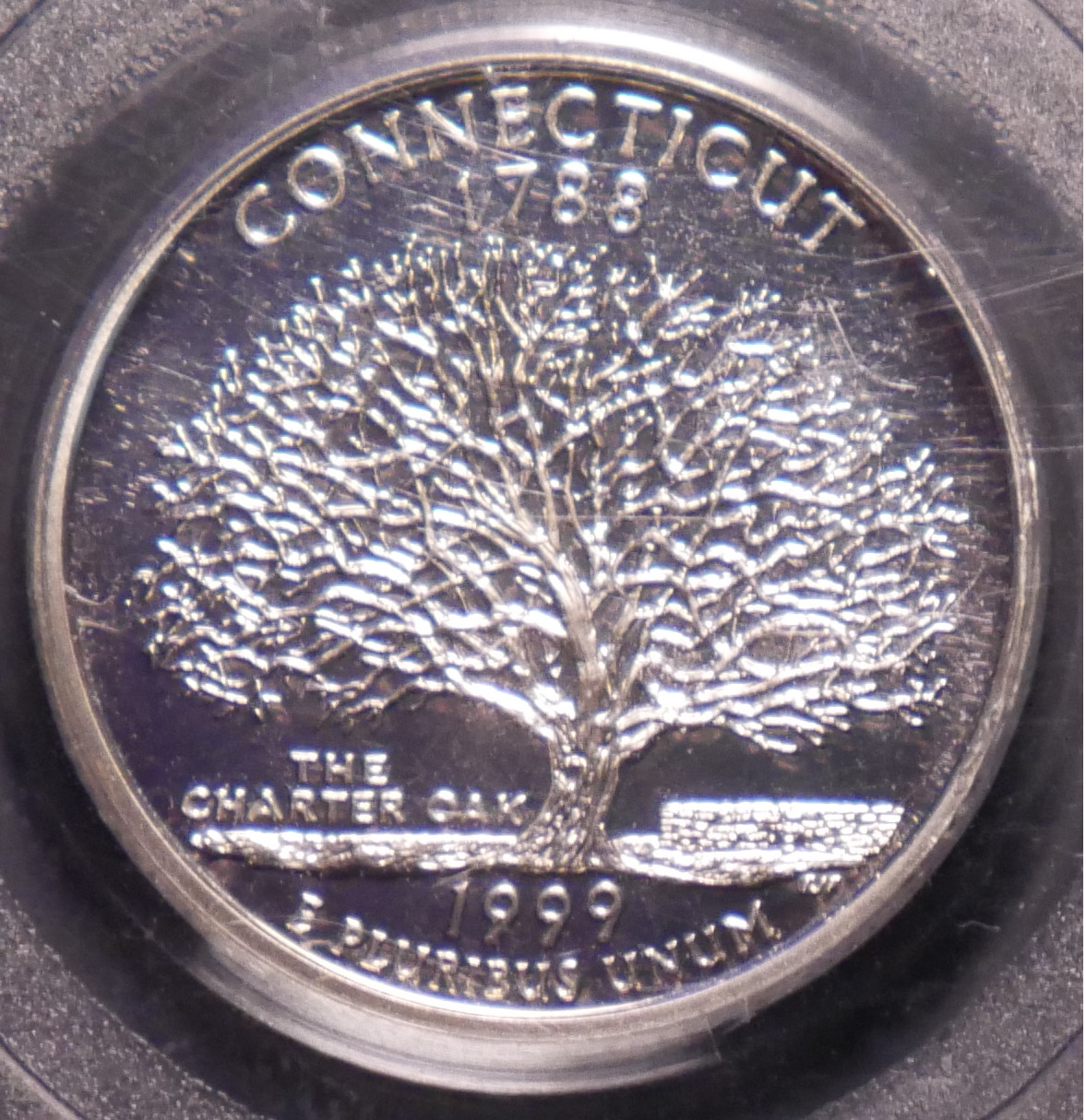 1999QuarterTree_01.JPG