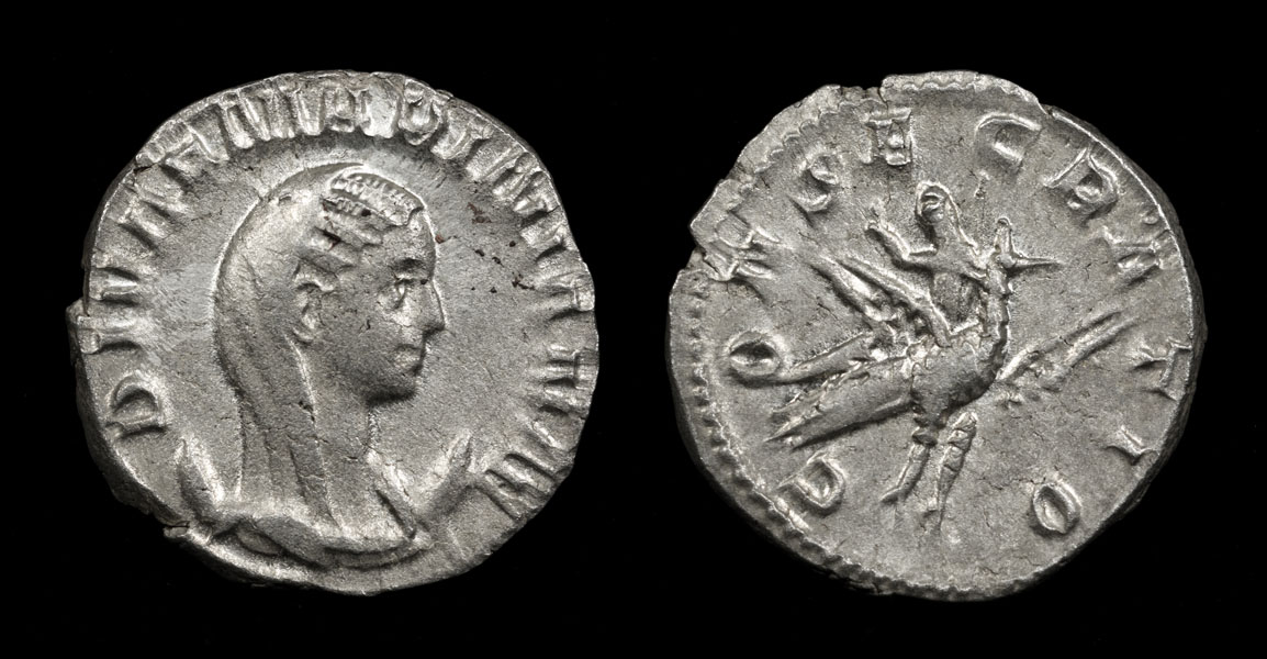 19aMariniana.jpg