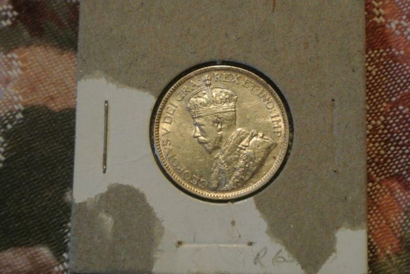 19b.jpg