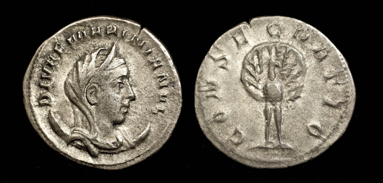 19bMariniana.jpg