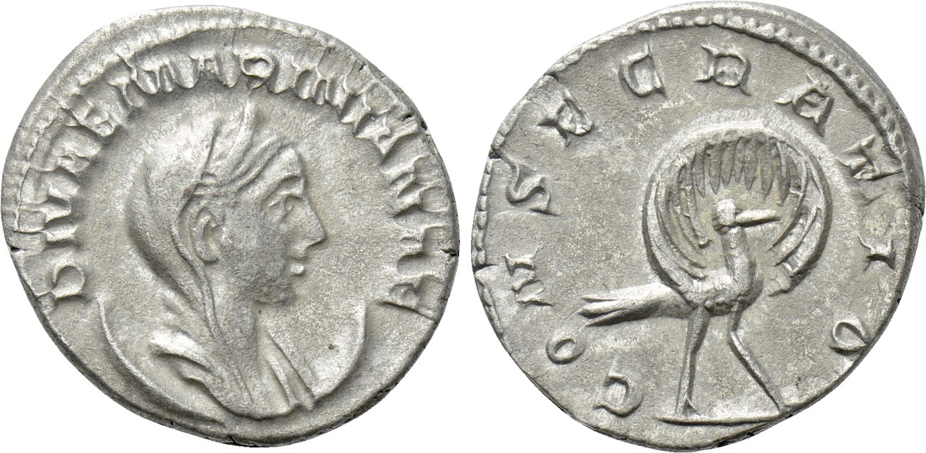 19cMariniana.jpg