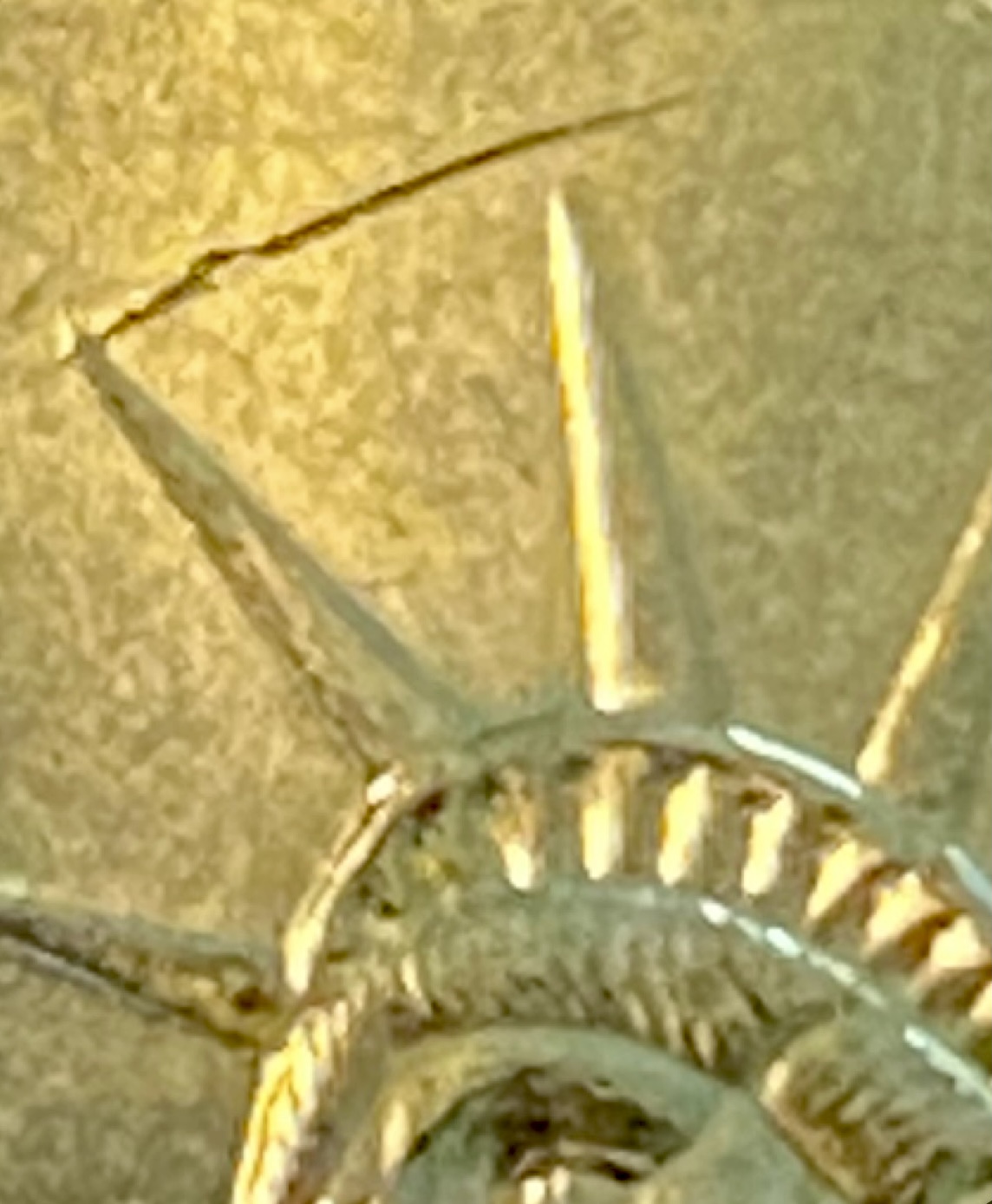 19F65F05-3FB2-4F62-887F-56EE6E33DC05.jpeg