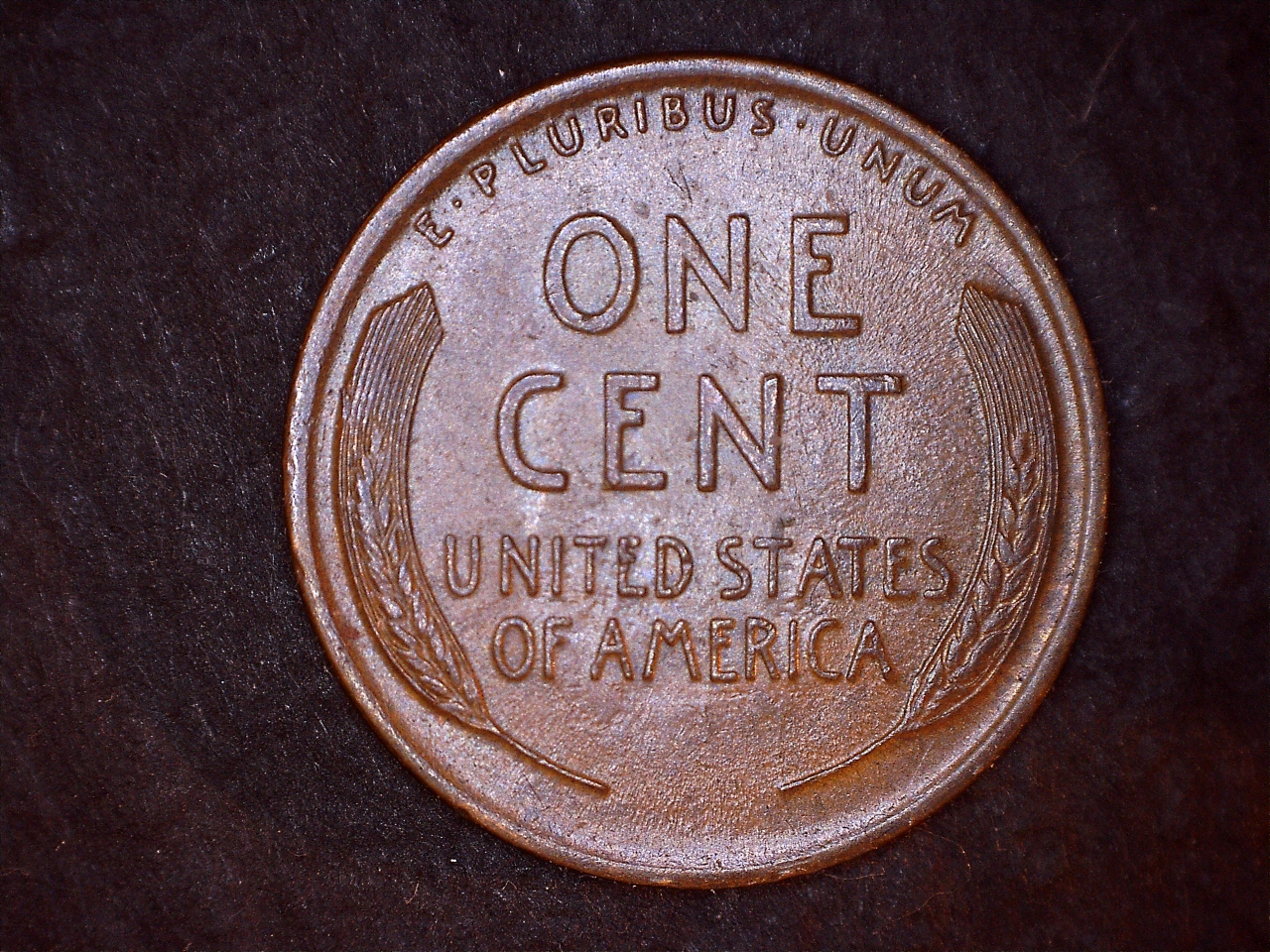 19r.jpg