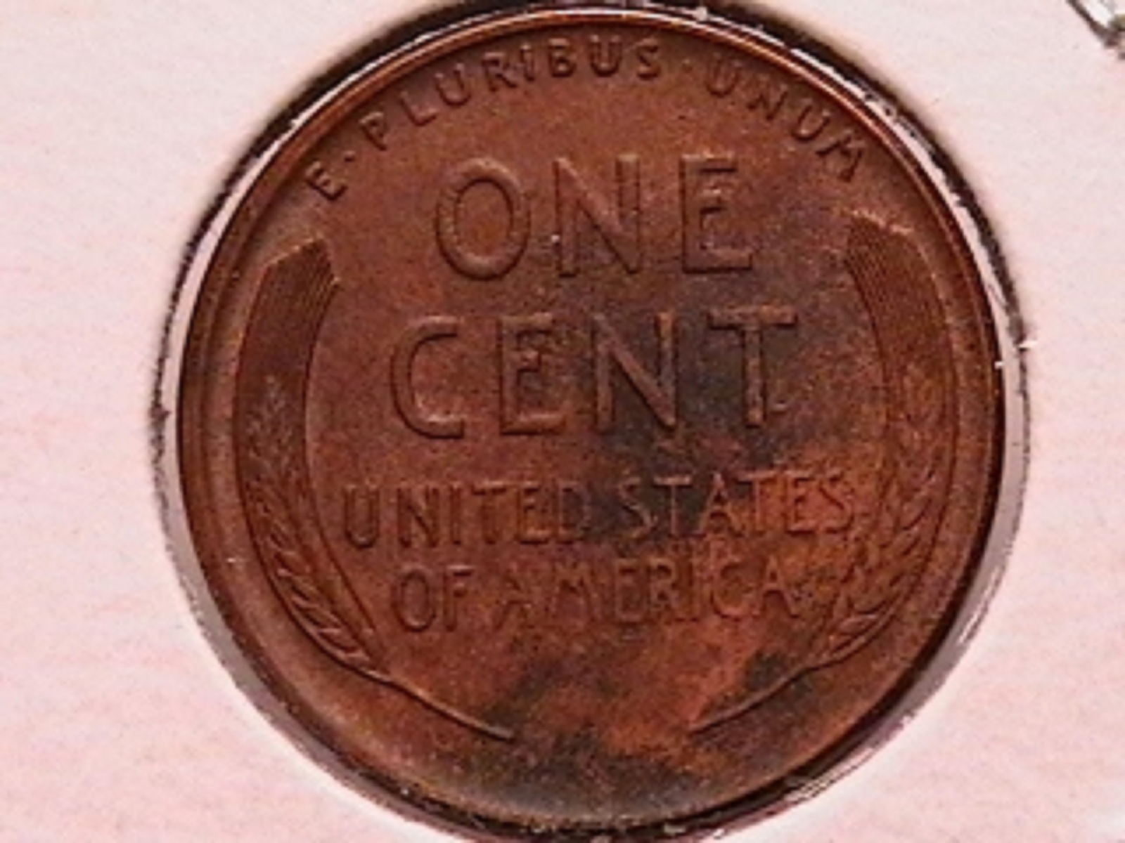 1a.jpg