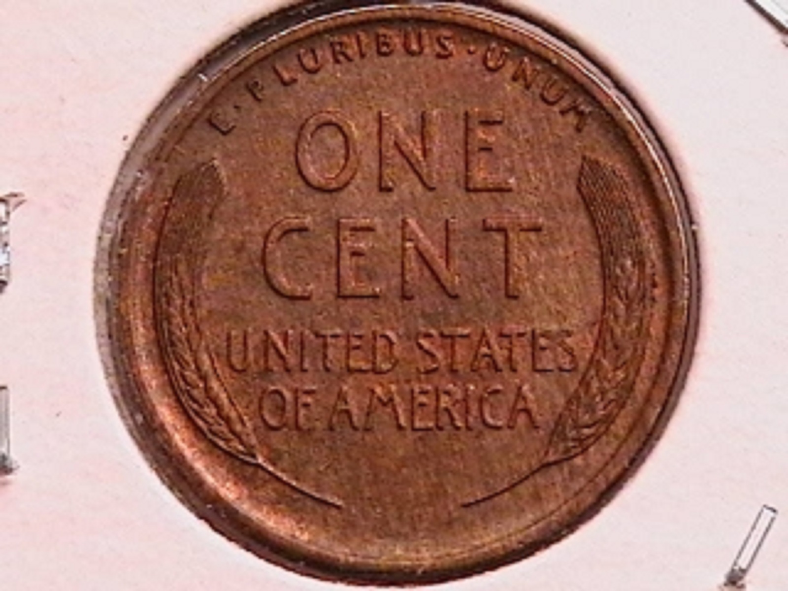 1a.jpg