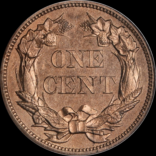 1c 1856 Flying Eagle PR64 PCGS Rev CU 600x600.JPG