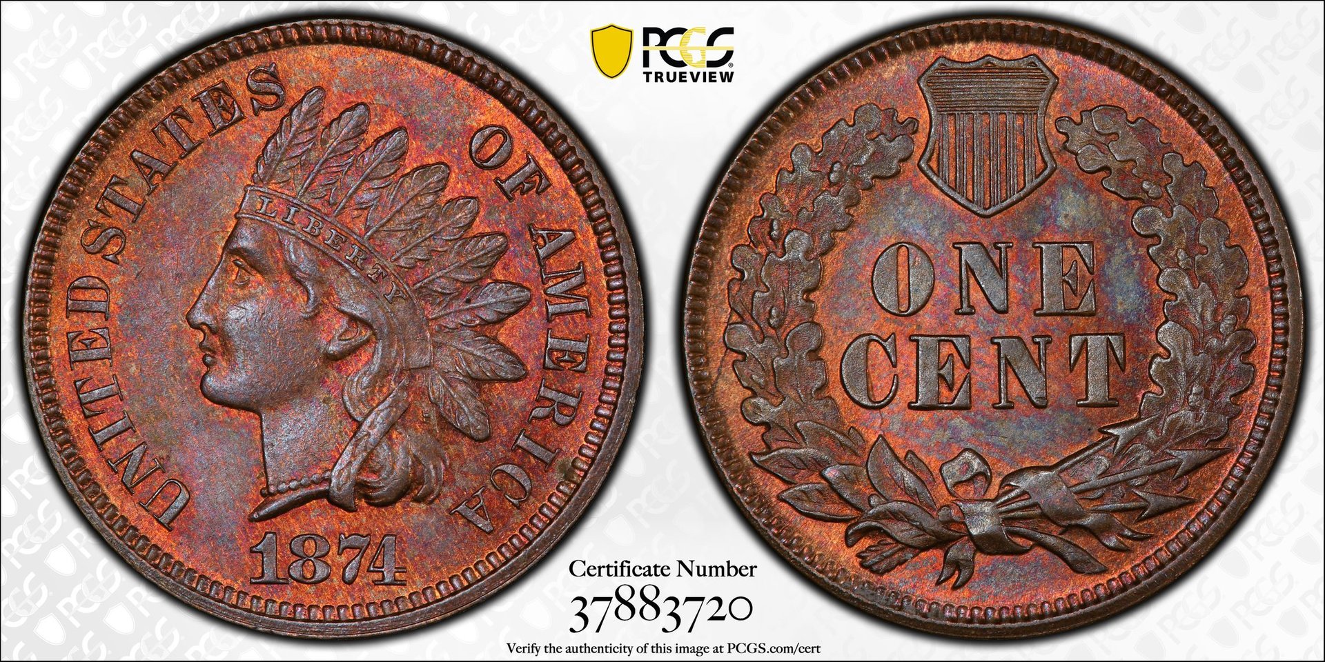 1c 1874 MS64+BN PCGS 37883720 Trueview.jpg