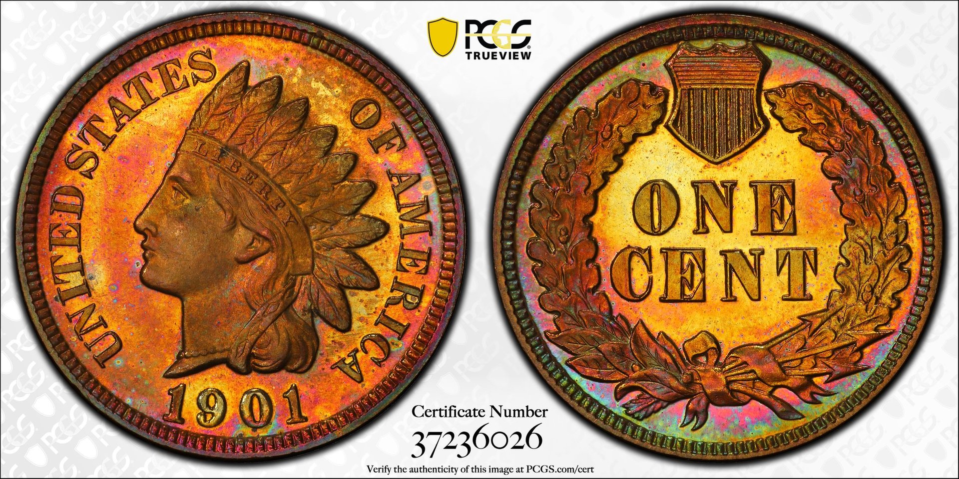 1c 1901 PR66+RB PCGS CAC 37236026 Trueview.jpg