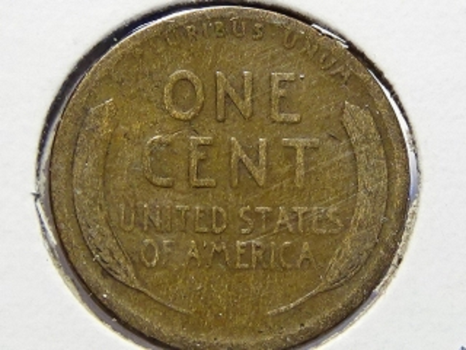 1c.jpg