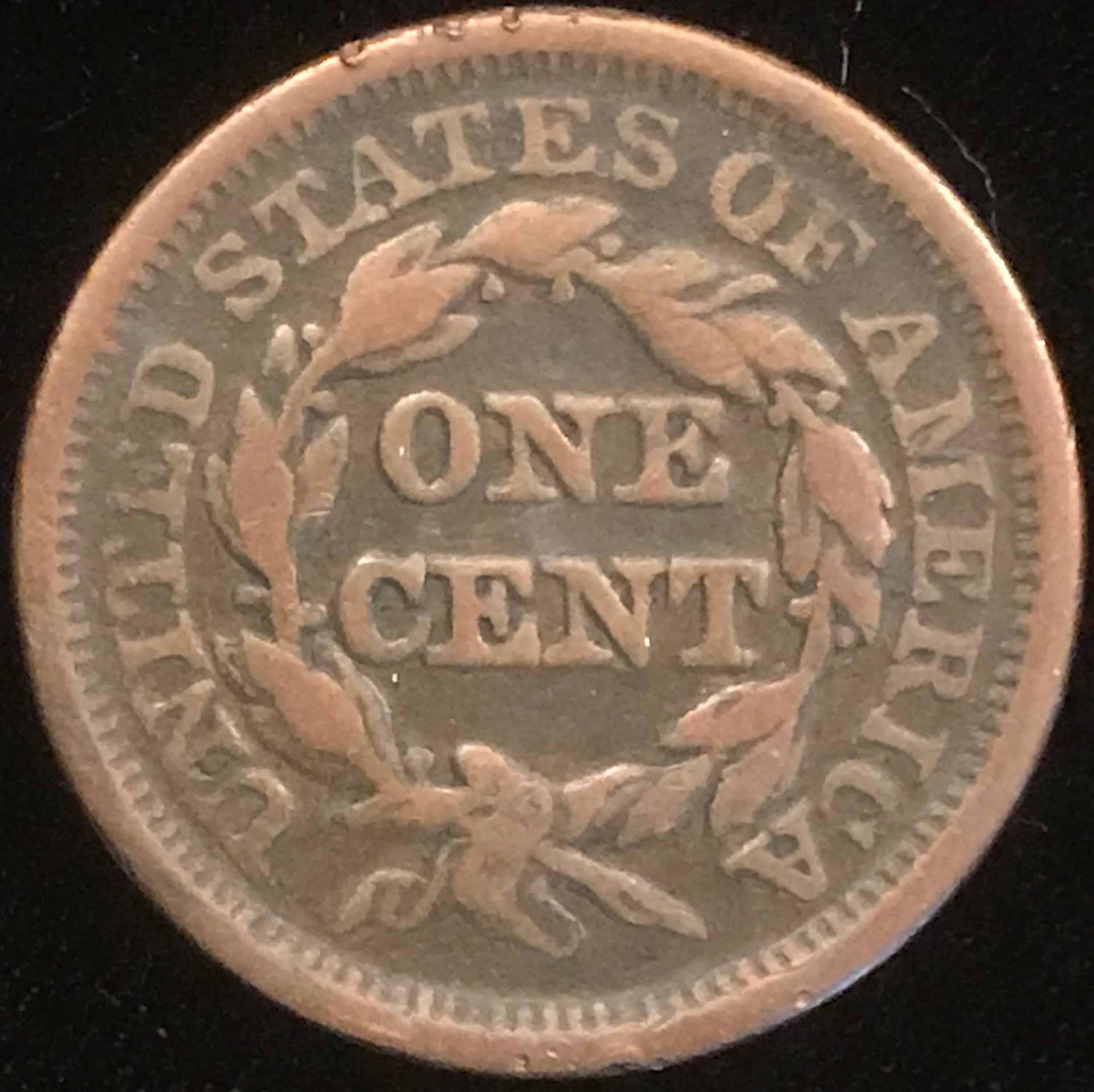 1C1849P-06.001rev.JPG