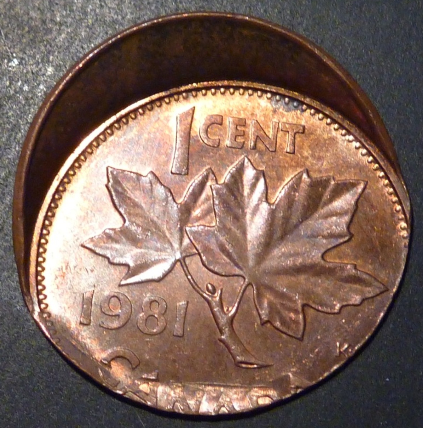 1c_1981_split_OC_rev.jpg