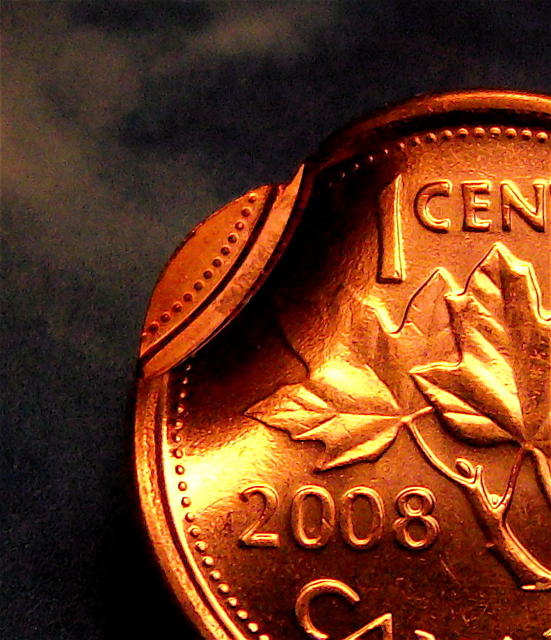 1c_2008_dbl_struck_rev_2.JPG