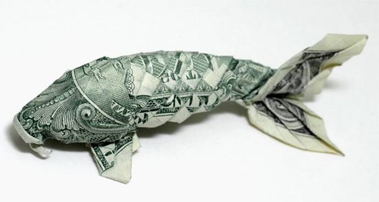 $1Carp.jpg