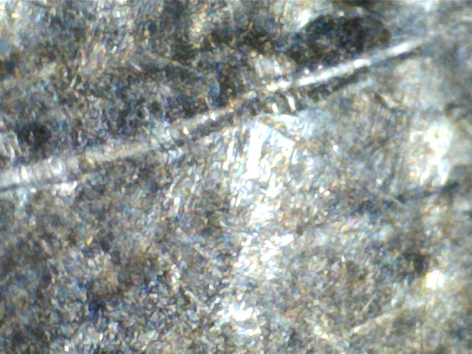 1D-SAC-2000D-MS65-WND-1001-Or1.jpg
