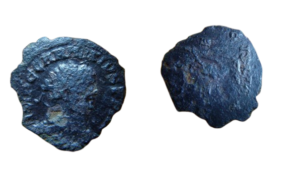 1DF2F744-5C2A-4916-8ABF-9974C759E23E.png