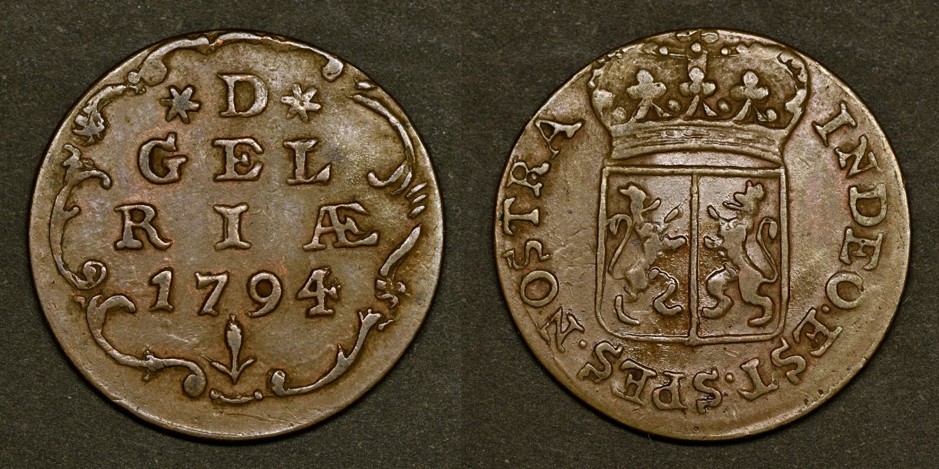 1DGLD1794_1.jpg