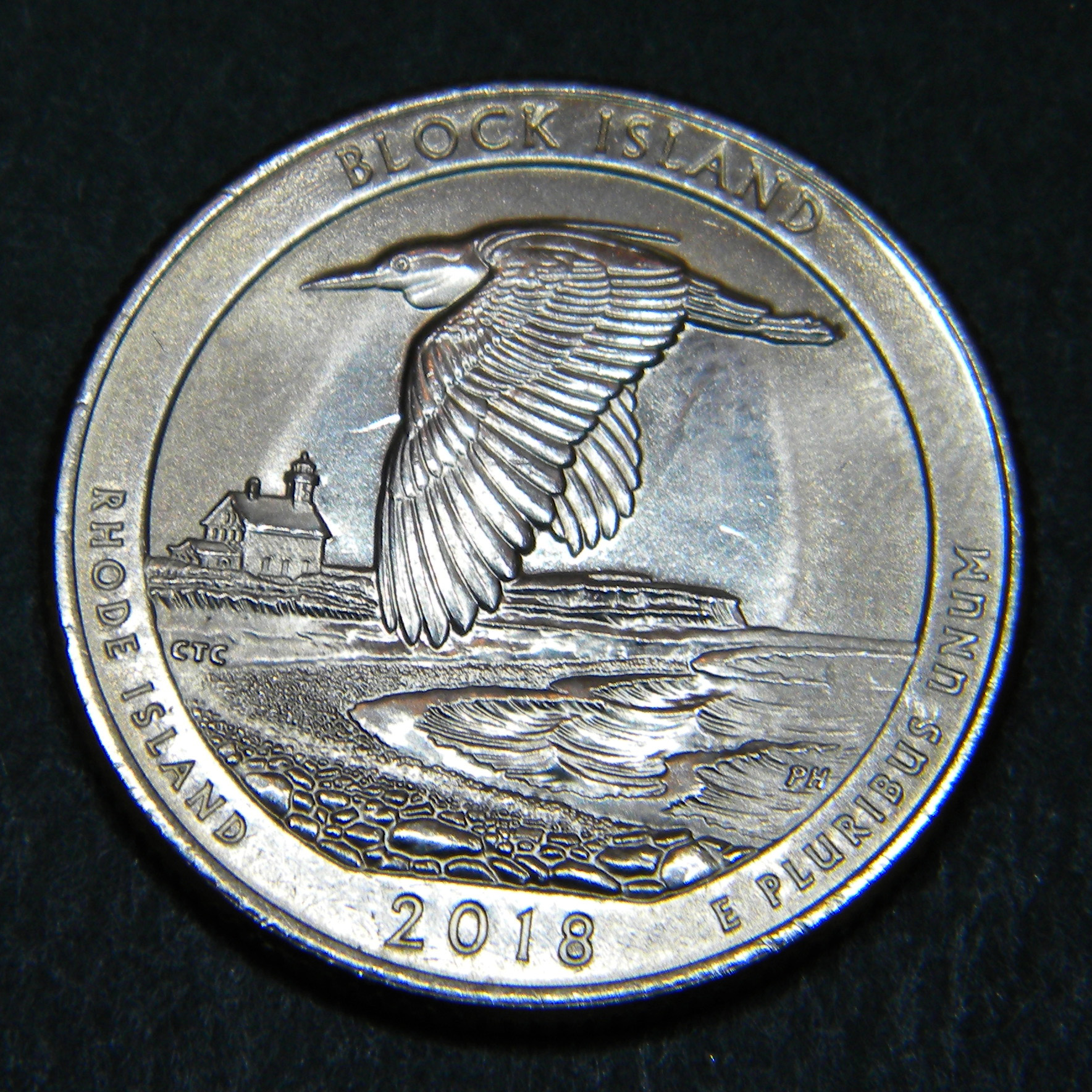 1DSCN4221 Reverse.jpg