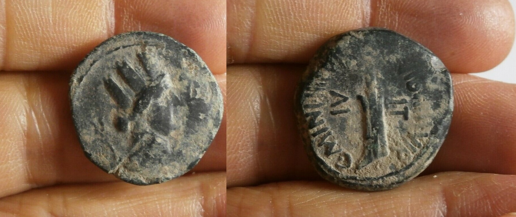 1e.jpg