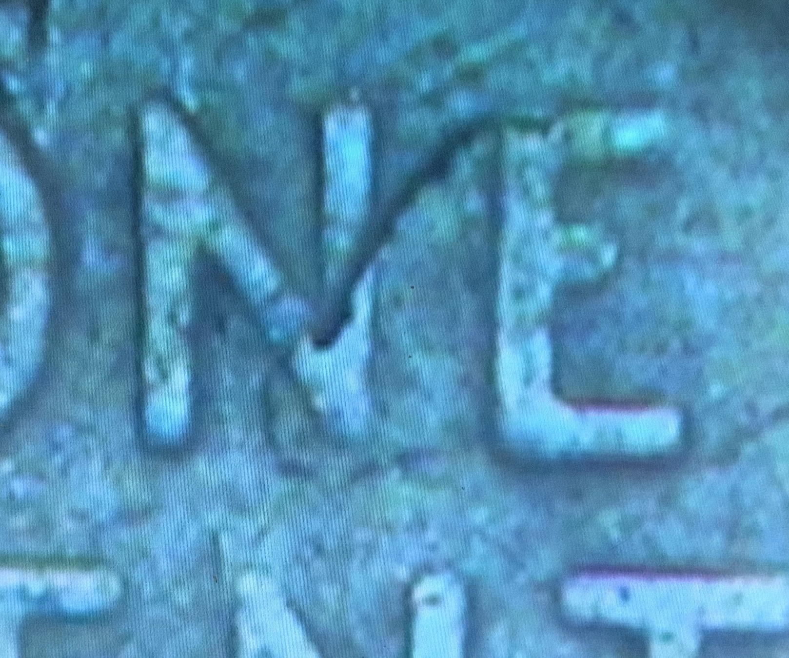 1E4528F4-E74A-46AD-A569-3E6702B95E0B.jpeg