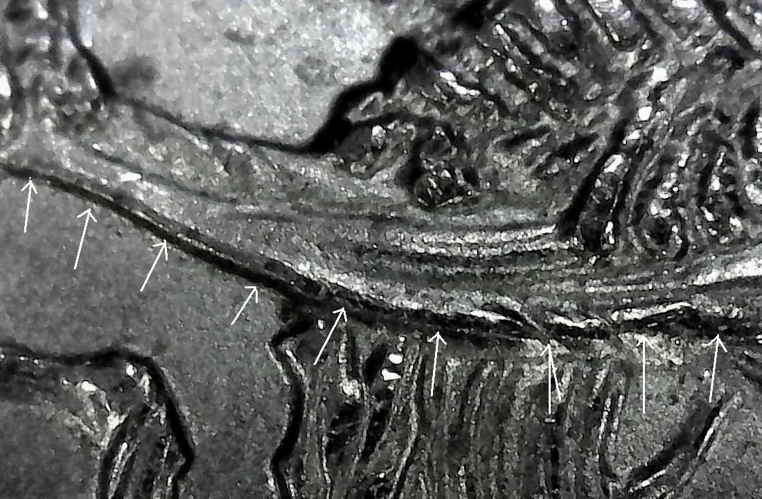 1f-crop.jpg
