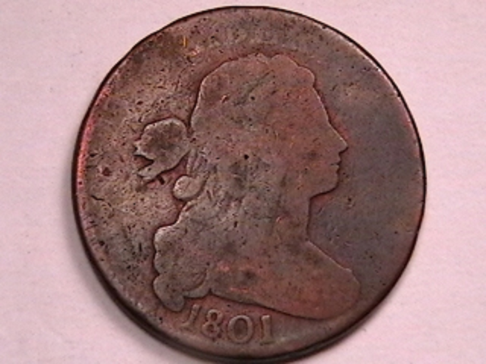 1f.jpg
