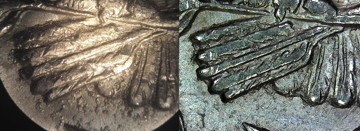 1f.jpg