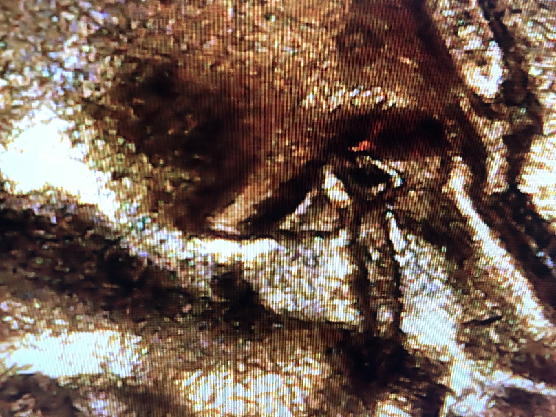1F637D0D-5393-4245-97F6-60022050526E.jpeg