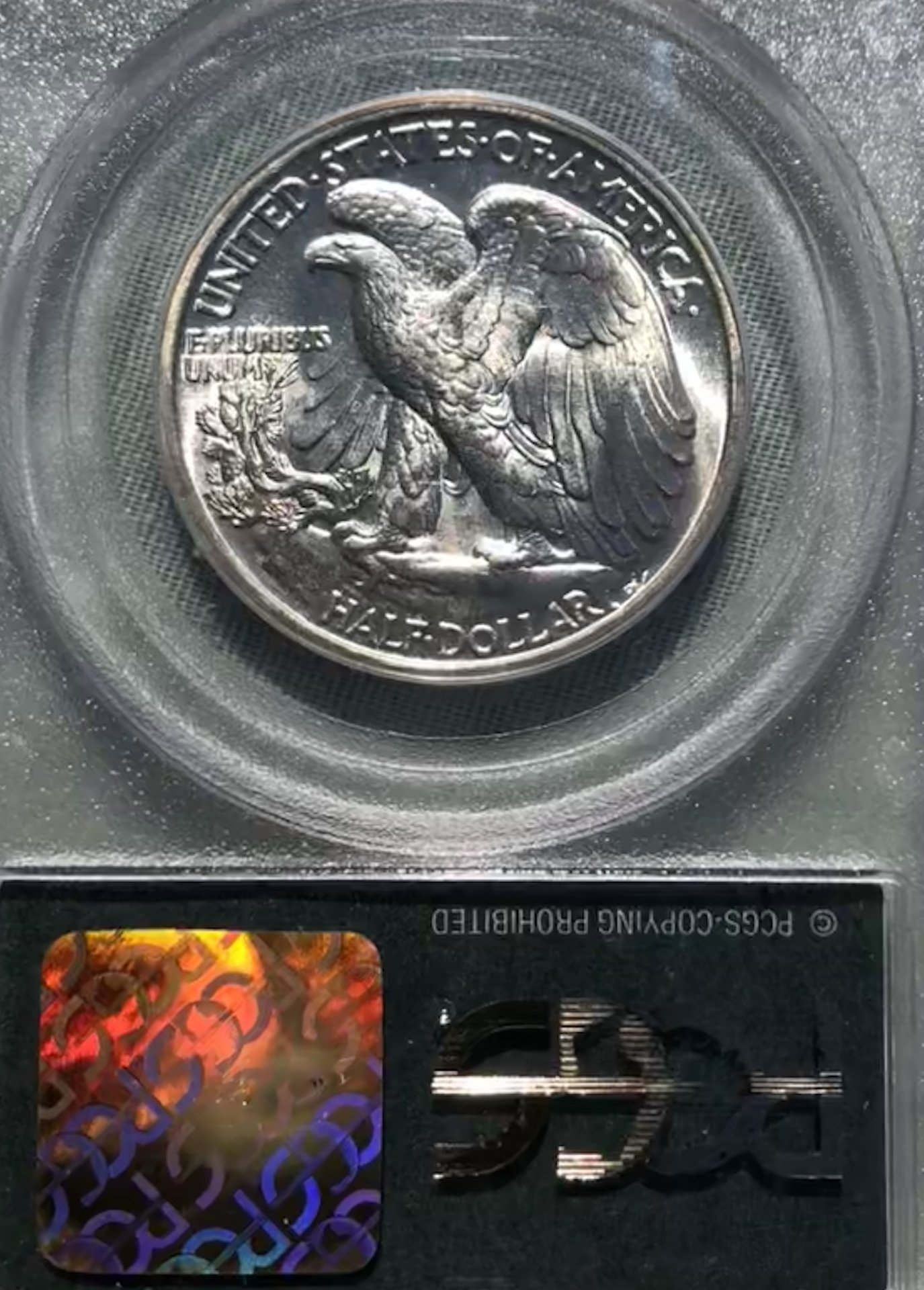 1FA93E5A-0026-4D64-B717-07CFD913C385.jpeg