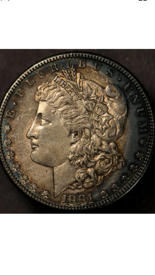 1FCCDA59-66AD-4BD4-85E7-0E5463E5597D.png
