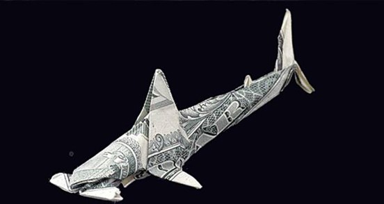 $1Hammerhead.jpg