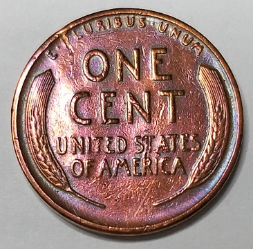 1last¢ (1).jpg