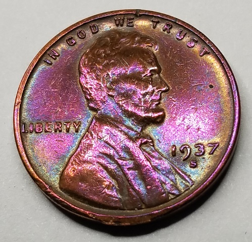 1last¢ (4).jpg