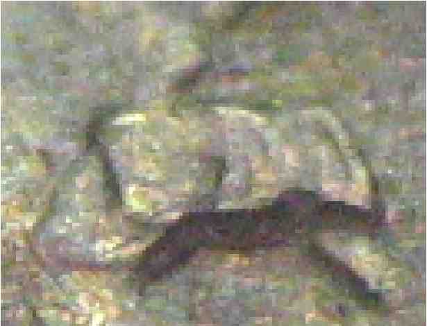 2-00030DT.jpg