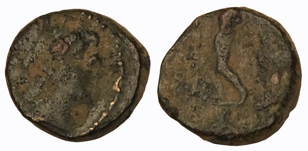 2.01g 12mm S1 Combined.png