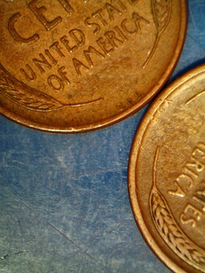 2 1909 VDB in roll1.jpg