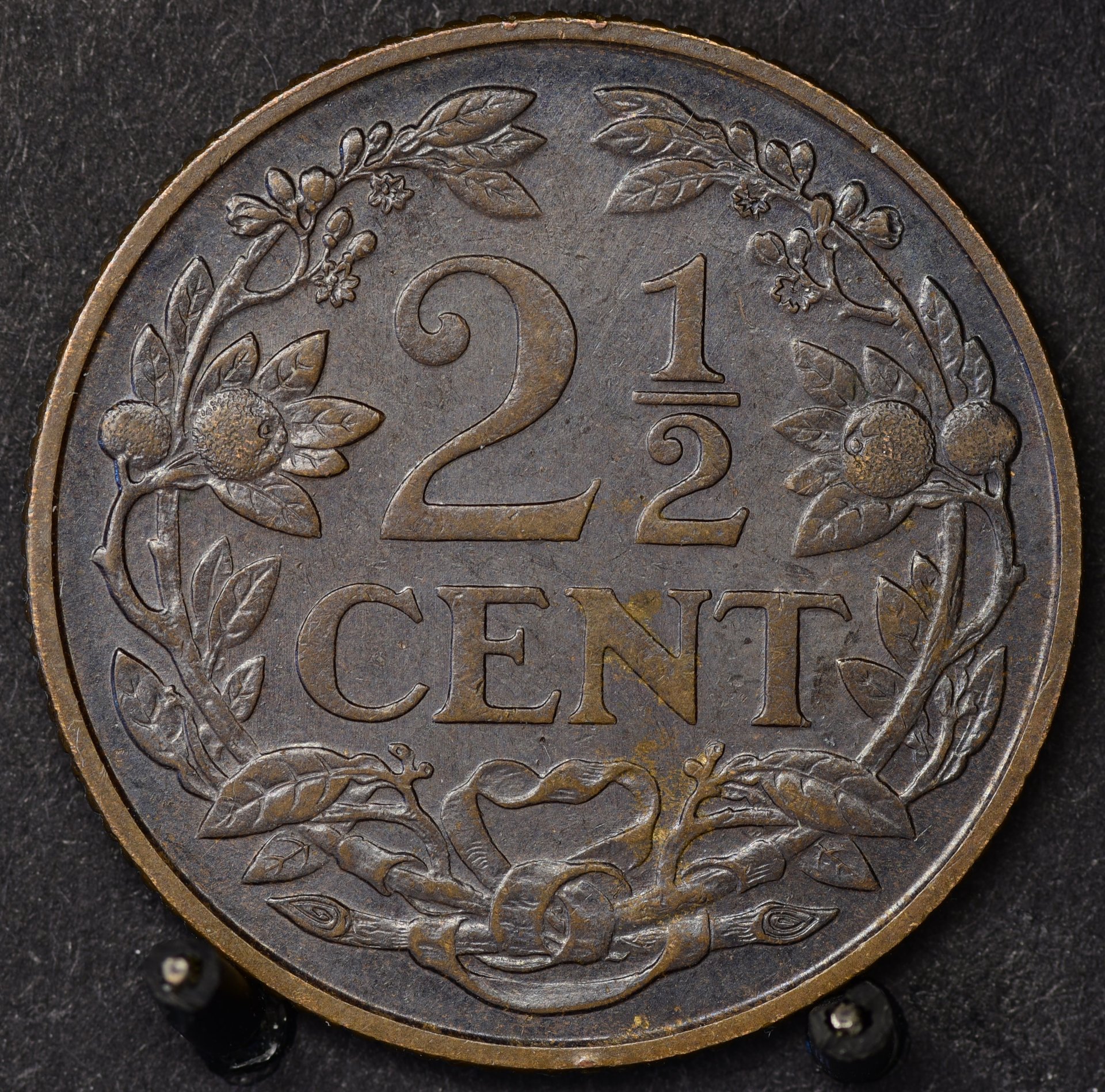 2.5C15.jpg