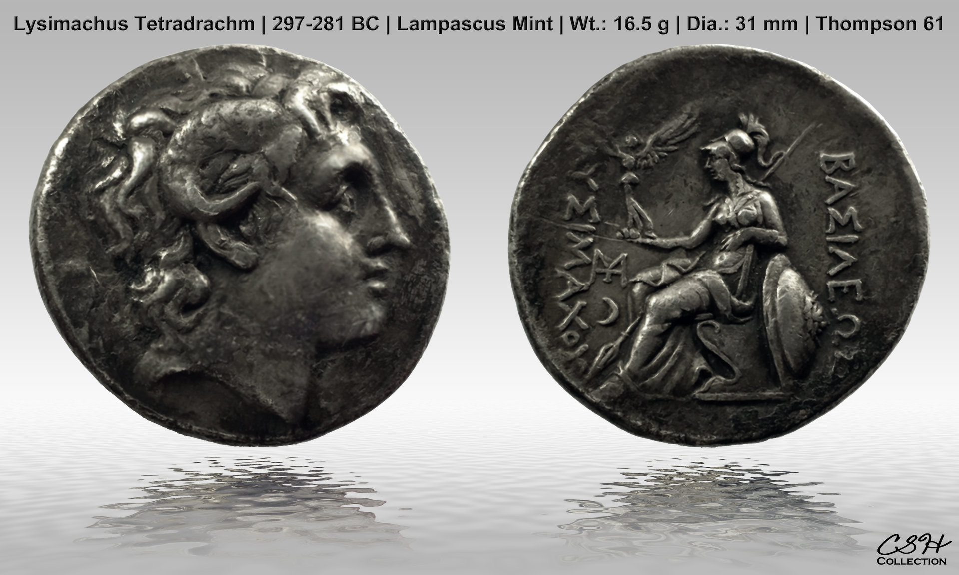 2-G02-003_Lysimachus_Tet_CSH.jpg