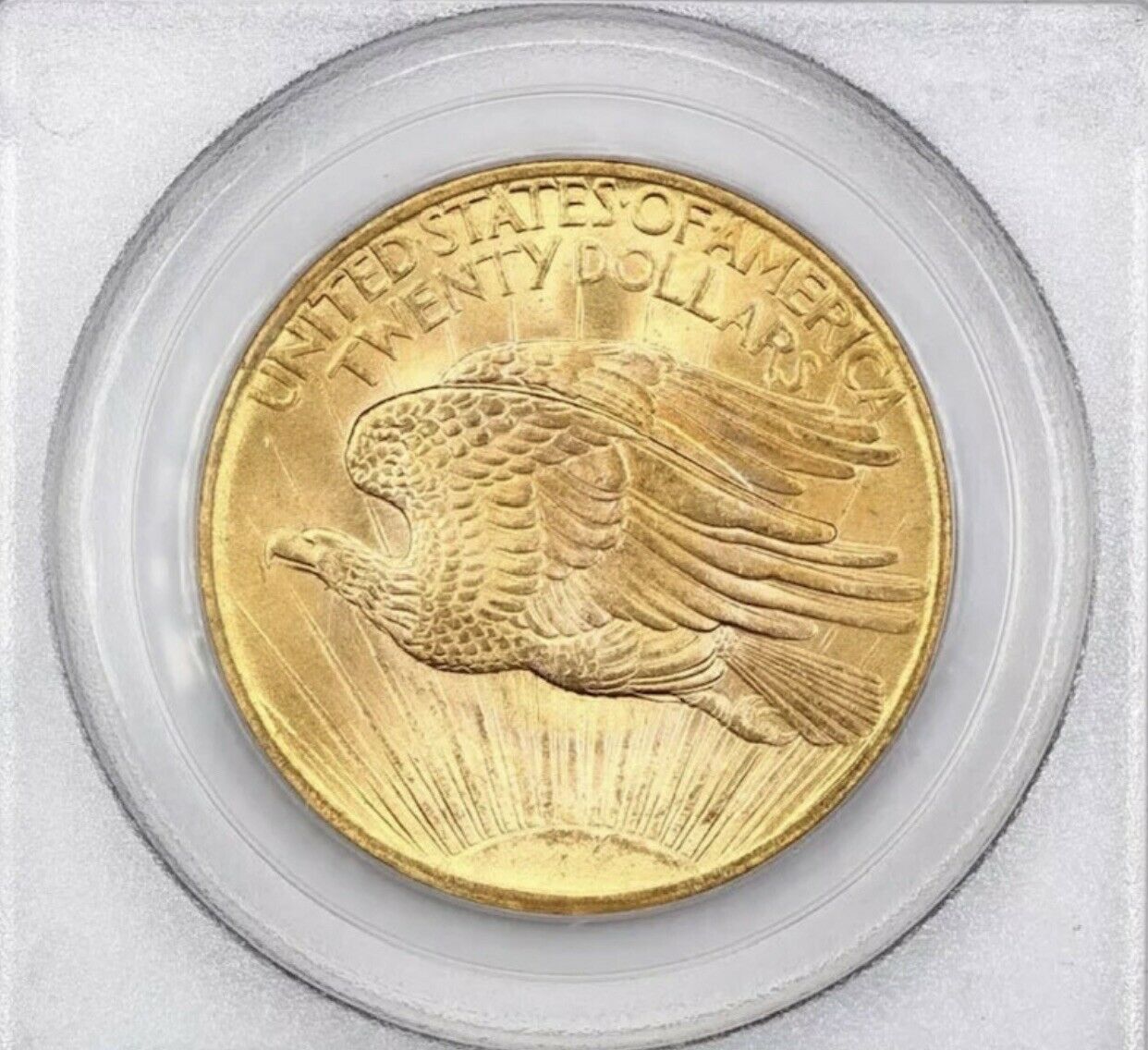 #2 MS66 large reverse.jpg