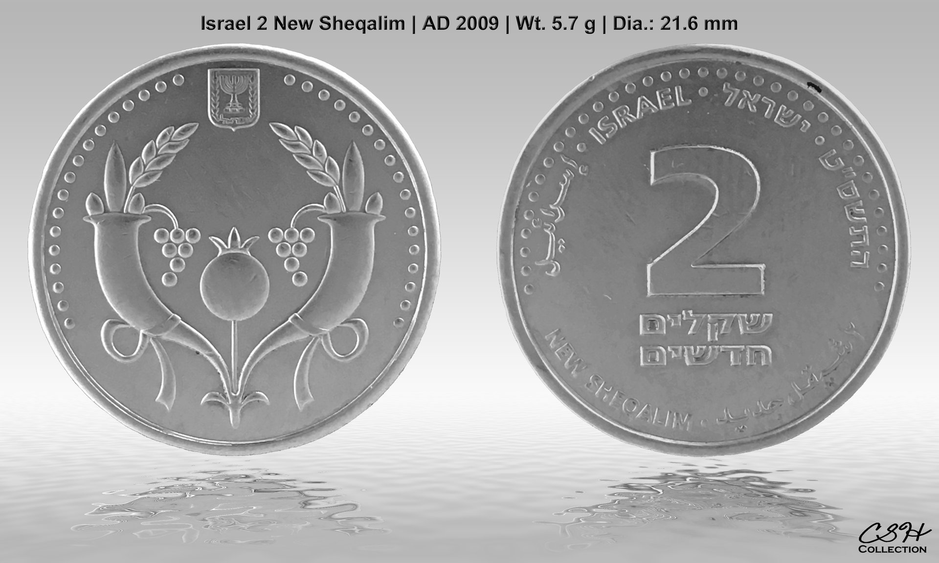2-W08-001_Israel_2_NIS_2009_CSH.jpg