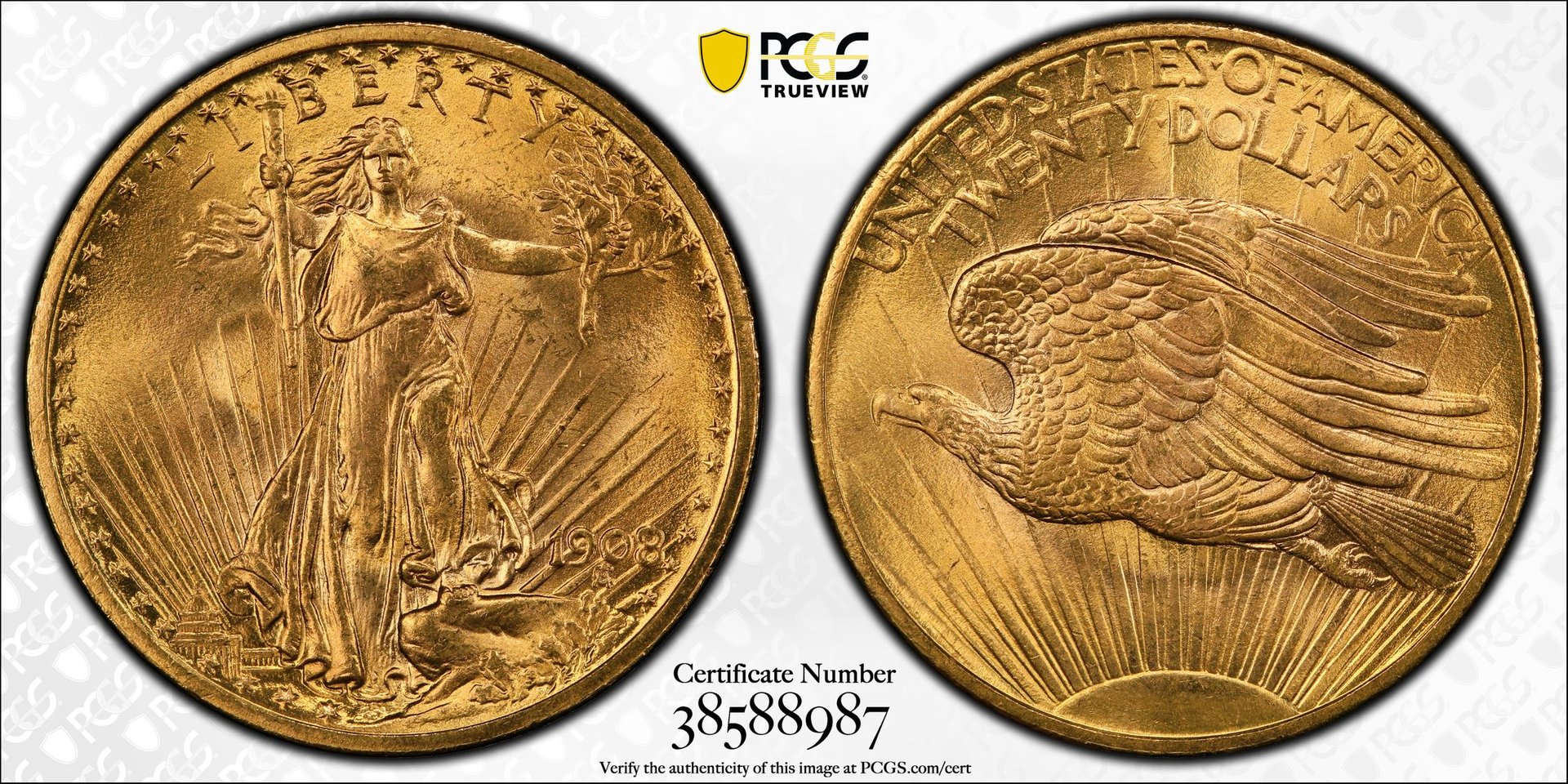 $20 1908NM MS66+ CAC True View.jpg