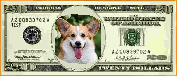 $20.jpg