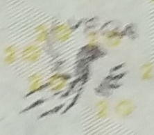 20.png