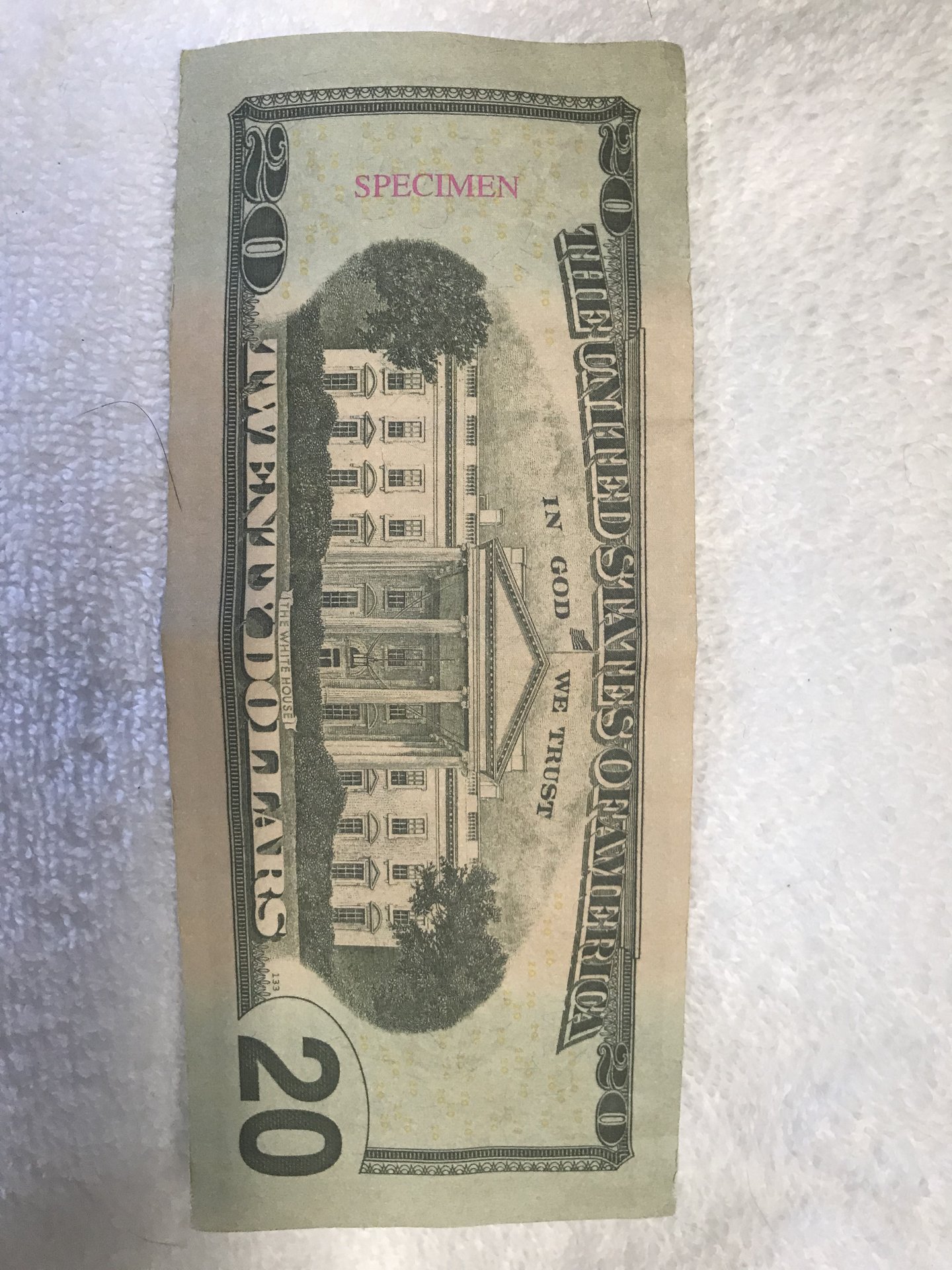 $20 Specimen Reverse.jpg
