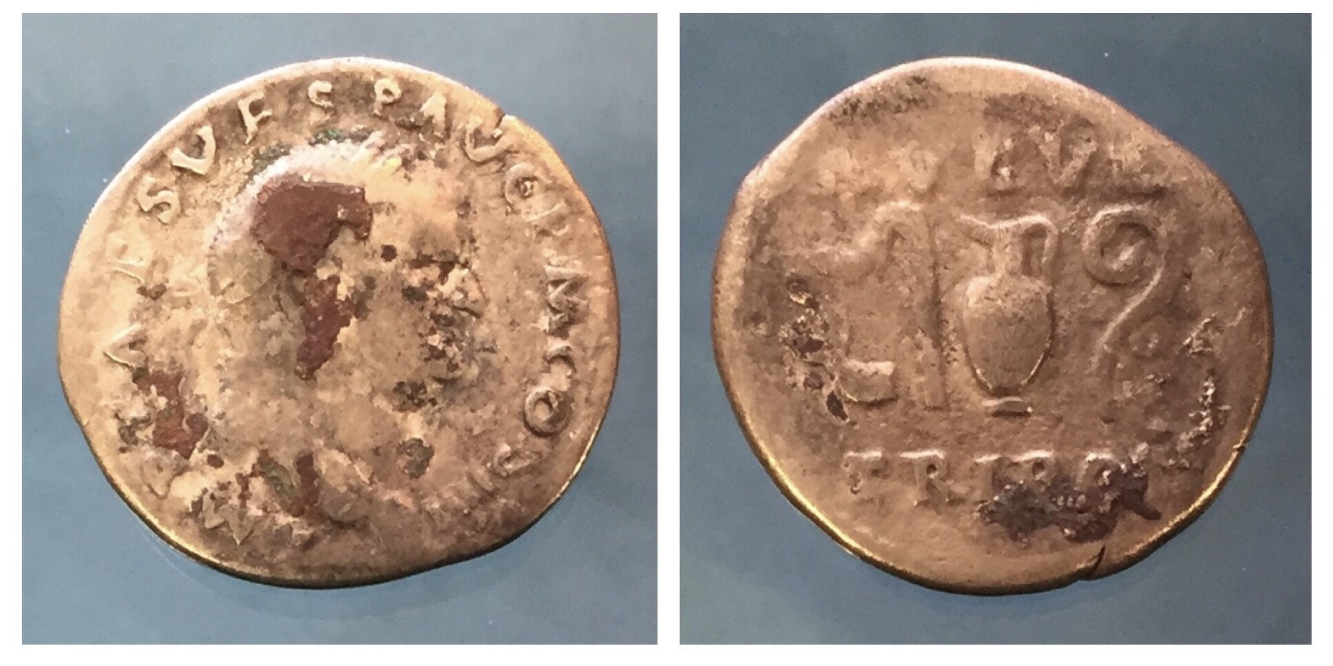 20 VESPASIAN DENARIUS.jpg