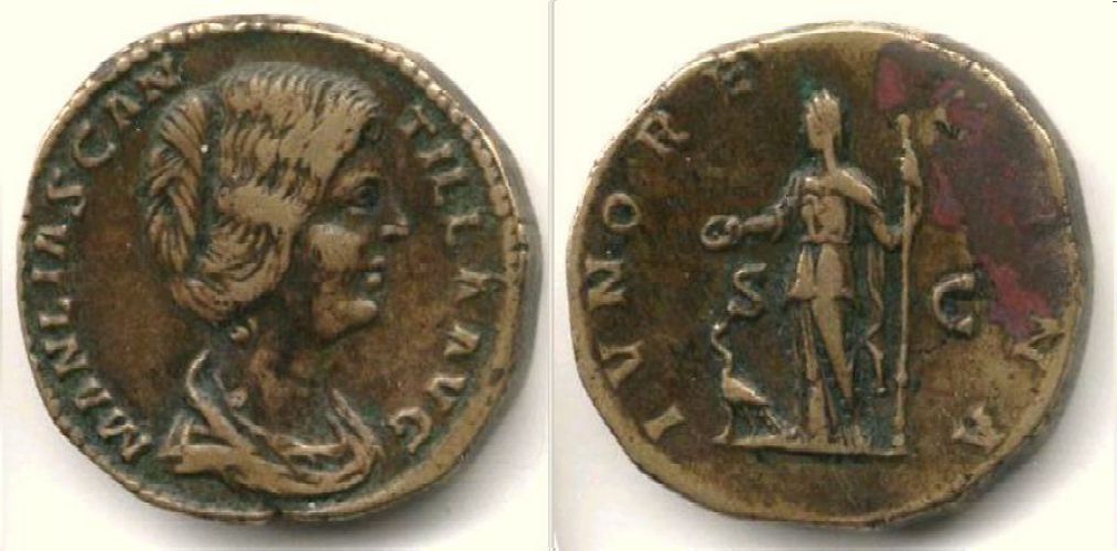 20-W---MAnliaScan    25'3.jpg